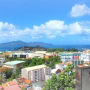 Vue sur le fort Saint Louis